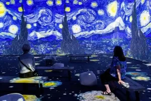 Advanced Program In Immersive Design